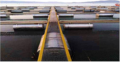 企业动态-凯时凯时首页